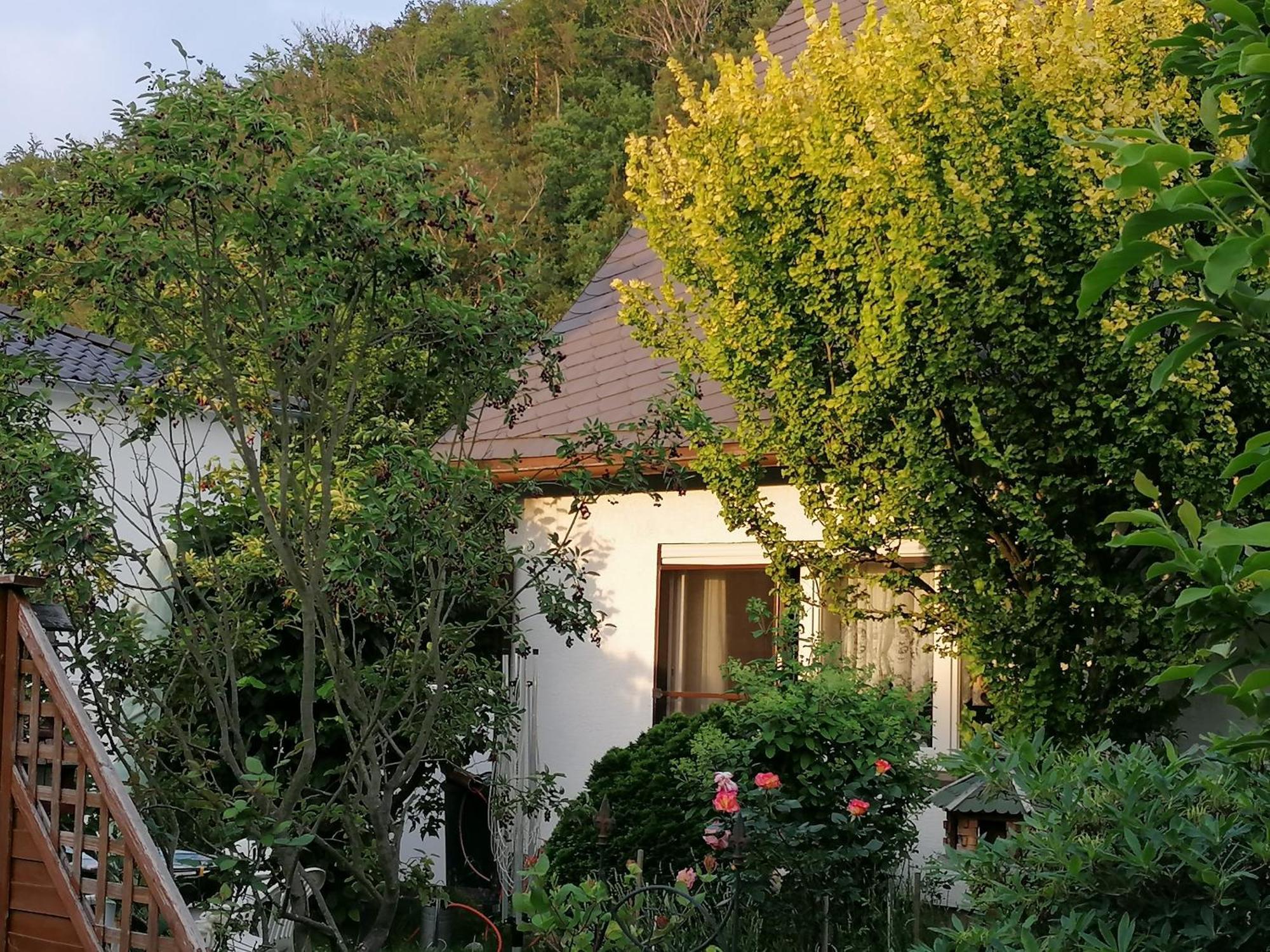 Haus Am Waldrand Apartamento Freital Exterior foto